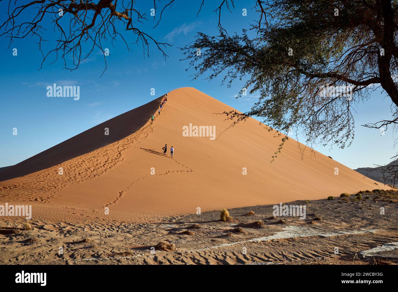 Gruppo di turisti che si arrampicano sulle dune di sabbia del deserto del Namib sotto il forte vento che soffia, Namibia, Africa Foto Stock