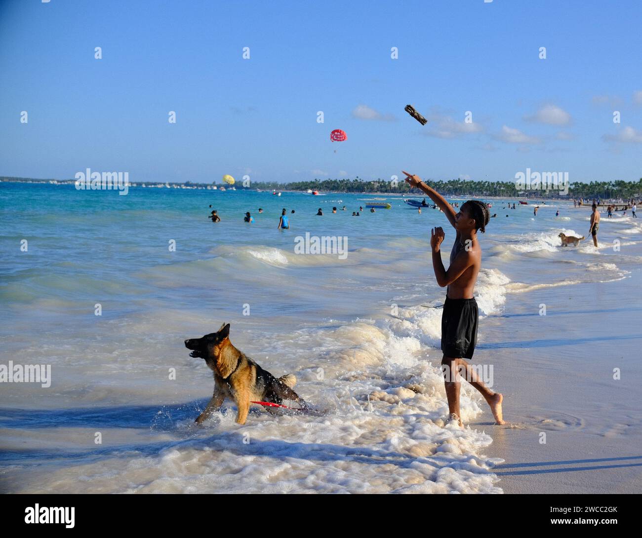Cane giocare nell'oceano Foto Stock