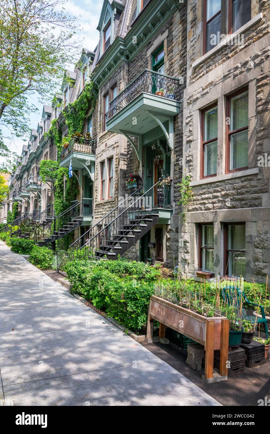 Case vittoriane in le plateau Mont Royal Borough a Montreal, Quebec Foto Stock
