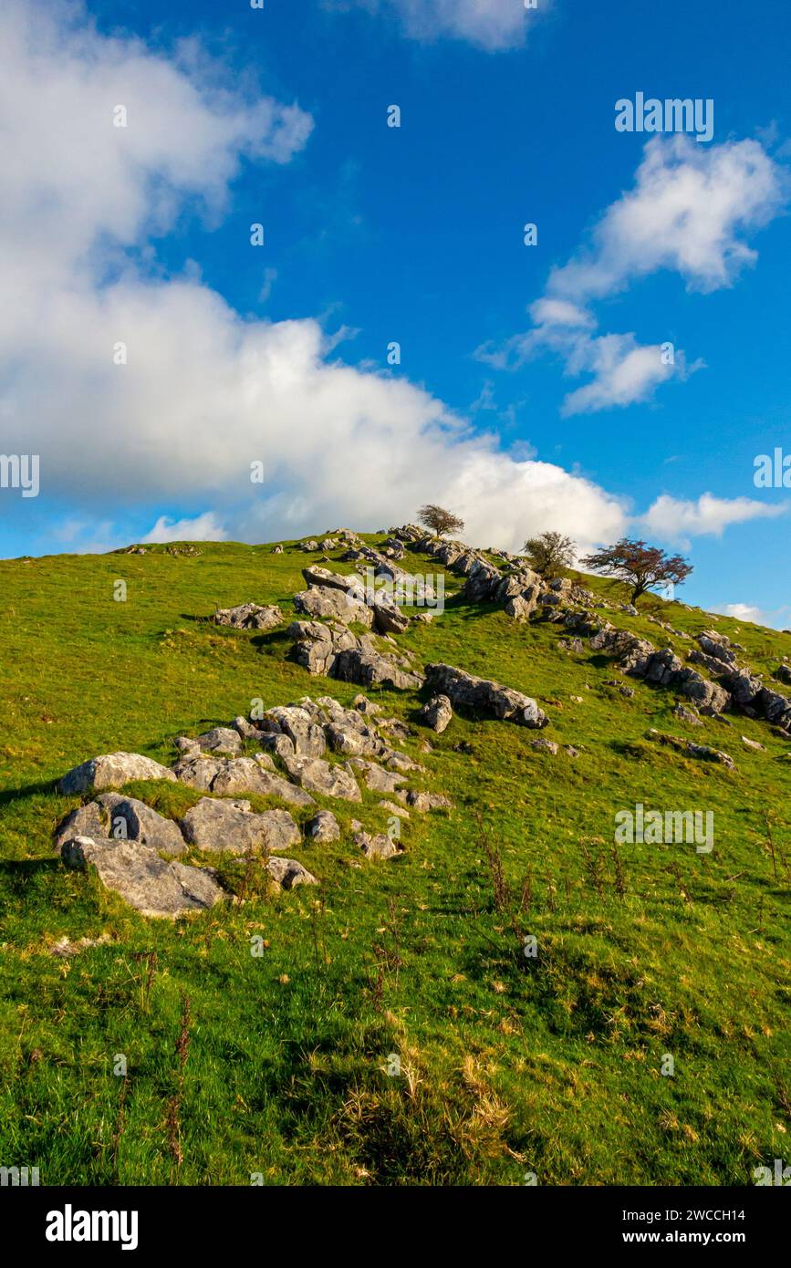 Paesaggio roccioso a Thrkelow vicino a Buxton nel Derbyshire Peak District Inghilterra Regno Unito. Foto Stock