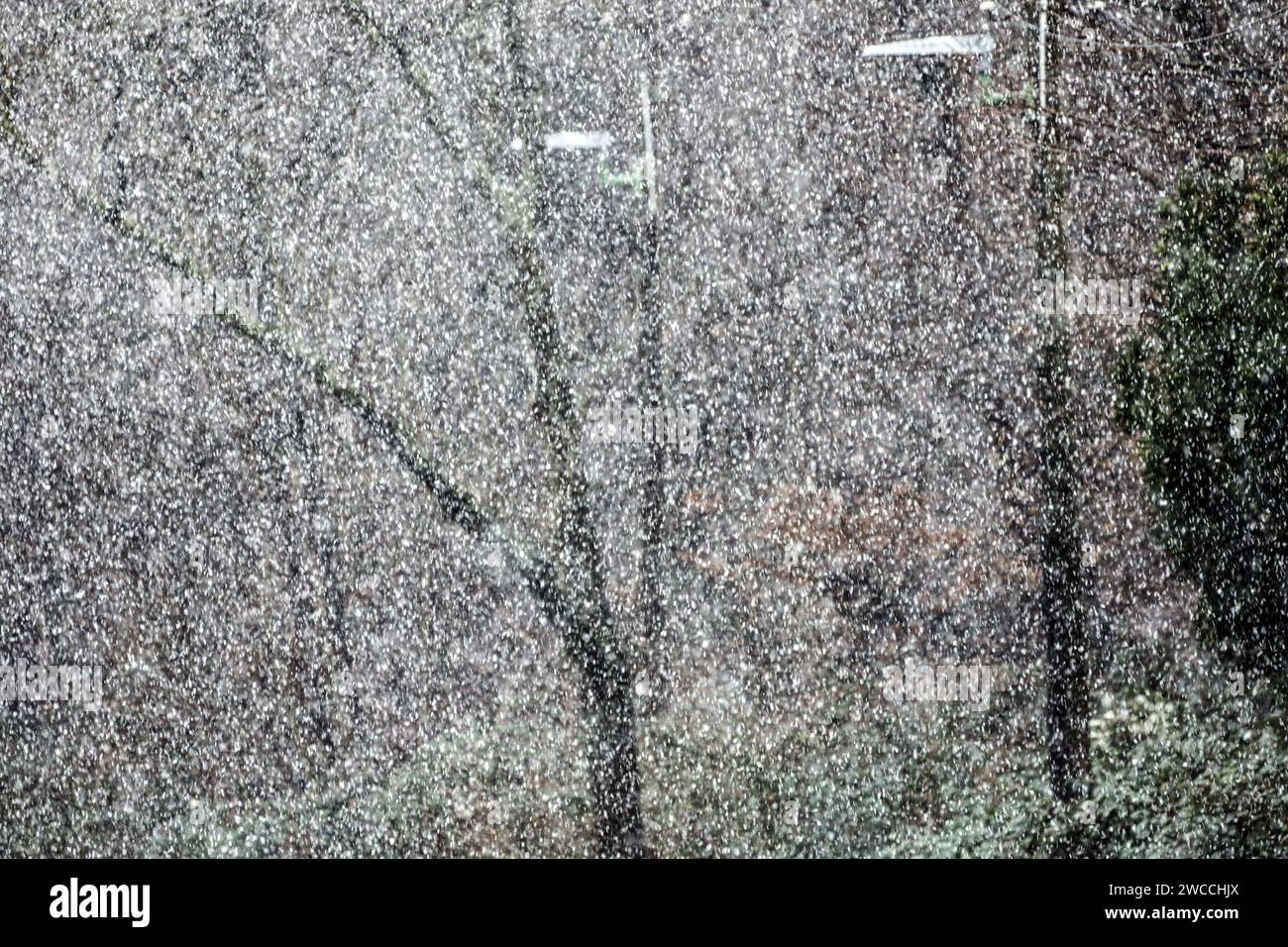 Schneefall a tiefen Lagen Deutschlands in seltenen Fällen erreichen Schneefälle auch das Tiefland im Ruhrtal bei 54 Meter über dem Meeresspiegel und bedecken die Vegetation für zumeist kurze Zeiträume. Essen Nordrhein-Westfalen Deutschland Ruhrtal Foto Stock