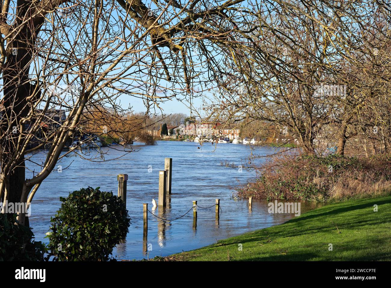 Il Tamigi a Laleham in condizioni di quasi alluvione, Staines Surrey Inghilterra Regno Unito Foto Stock