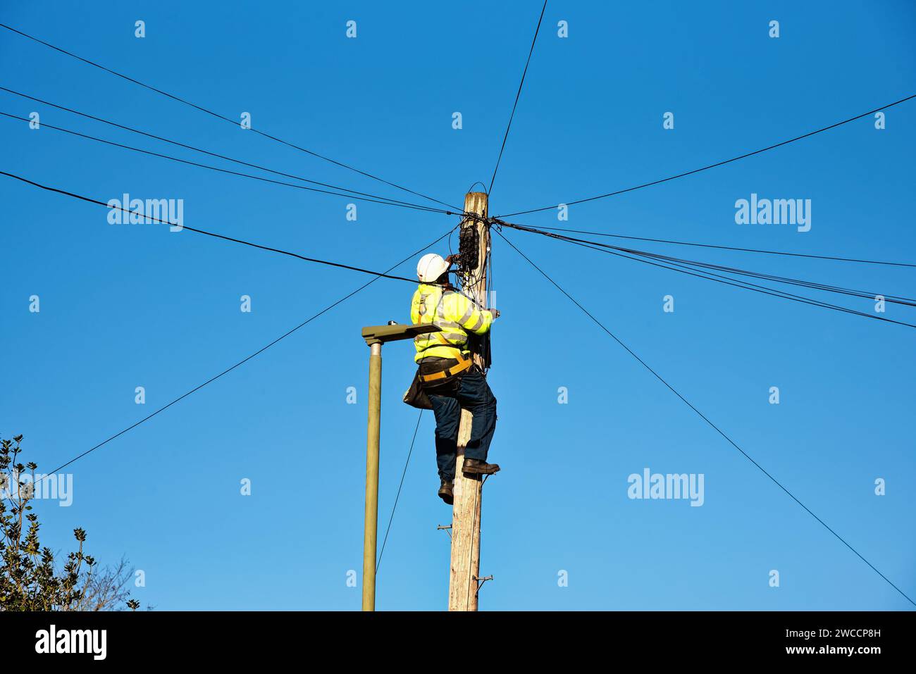 Un tecnico del telefono che fissa i cavi sulla parte superiore di un palo del telegrafo Foto Stock