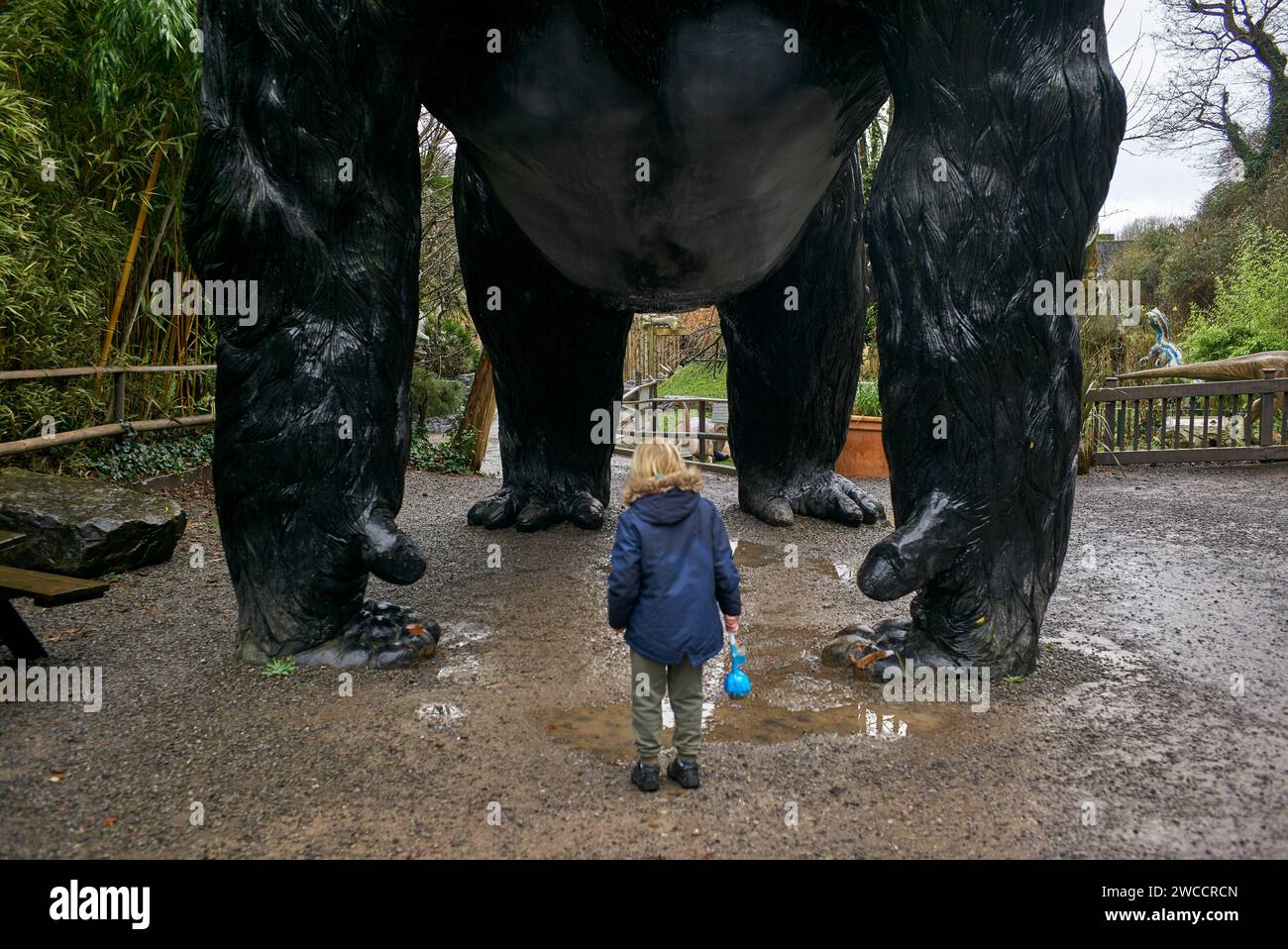 © 2023 John Angerson Wooky Hole Cave, Somerset, Regno Unito Foto Stock