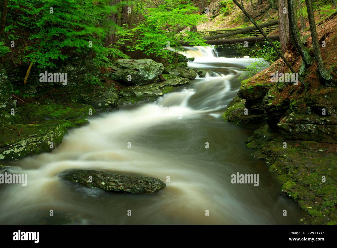 Dingmans Creek, Delaware Water Gap National Recreation area, Pennsylvania Foto Stock