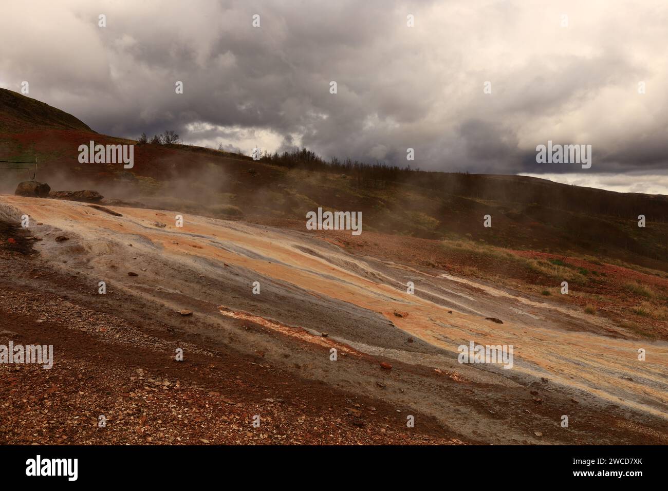 Il campo geotermale di Geysir è una collezione di sorgenti termali, una cupola e un cono vulcanico che costituiscono i resti di un antico vulcano in Islanda. Foto Stock