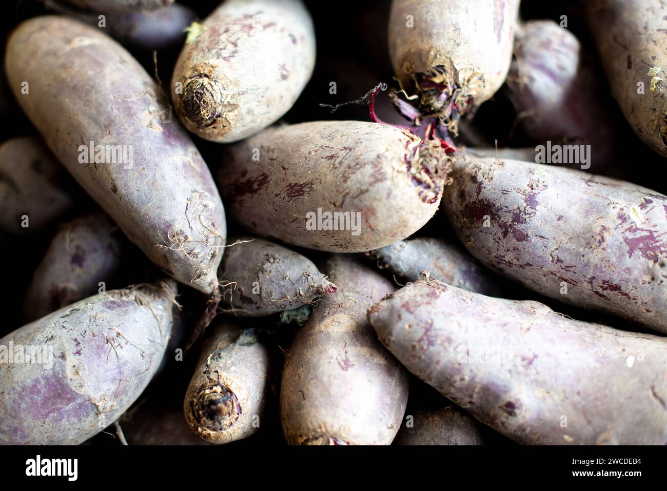 Una pila di vivaci barbabietole viola ordinate l'una sull'altra Foto Stock