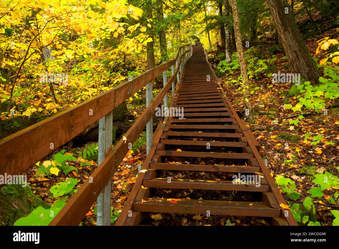 Silver Mountain Trail Stairs, Silver Mountain Ancient Volcanic Vent Plug Special Interest area, Ottawa National Forest, Michigan Foto Stock