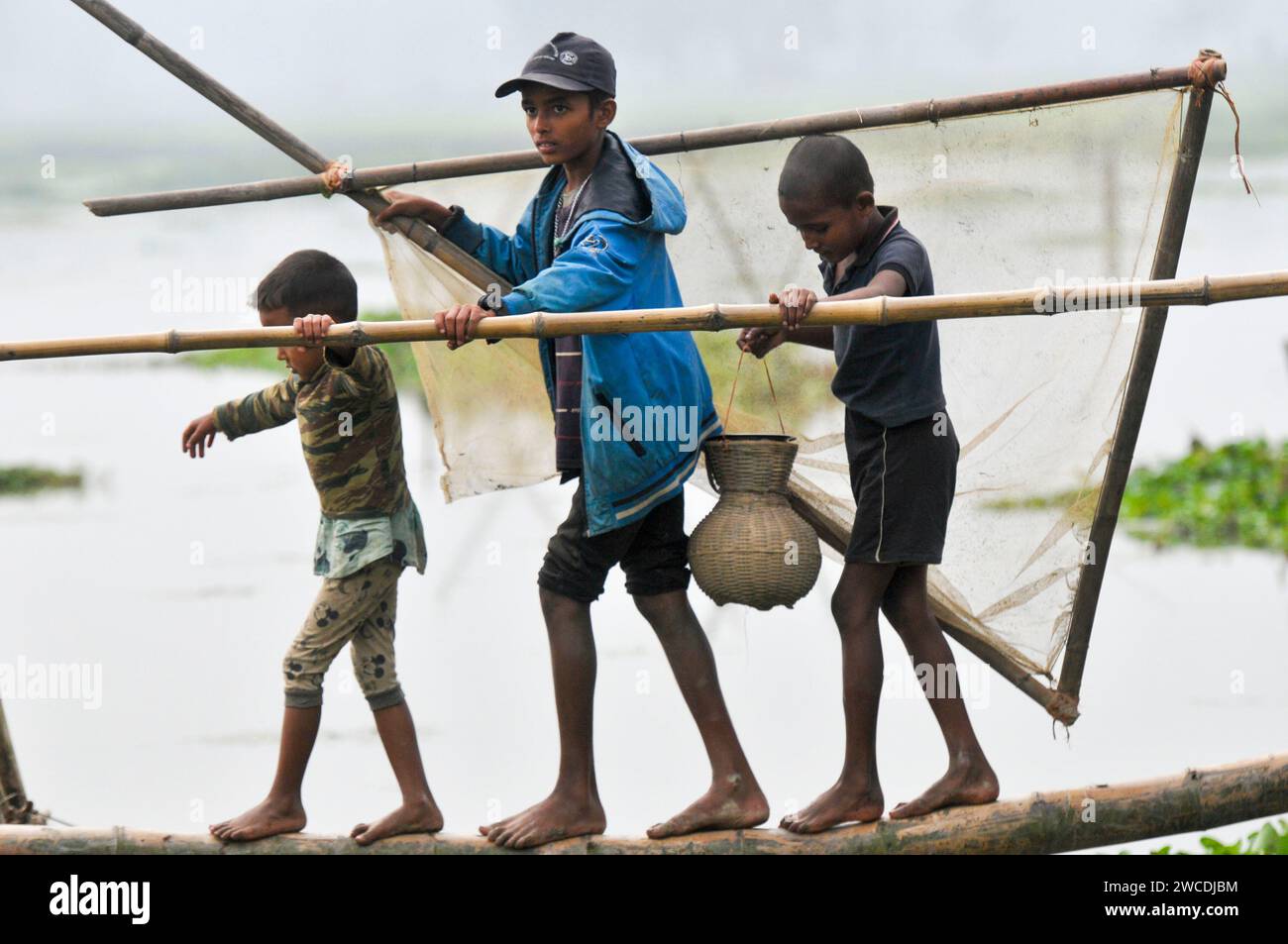 15 gennaio 2024 - Bangladesh: Bambini che pescano con la trappola di Bamboo al Beel. Mentre i contadini armati di trappole per pesci di bambù e reti da pesca fatte a mano per prendere parte a festeggiare in un festival invernale di pesca bawa a polo di 100 anni al Gowahori beel of Biswanath upazila di Sylhet, Bangladesh. La gente del posto ha detto che il festival viene celebrato ogni anno nel primo giorno del mese di Bangla di Poush e, a parte la gente del posto, persone provenienti da diverse parti dell'Upazila si radunano al beel con diversi tipi di trappole da pesca per partecipare. Il 15 gennaio 2024 Sylhet, Bangladesh (foto di Rafayat Haqu Foto Stock