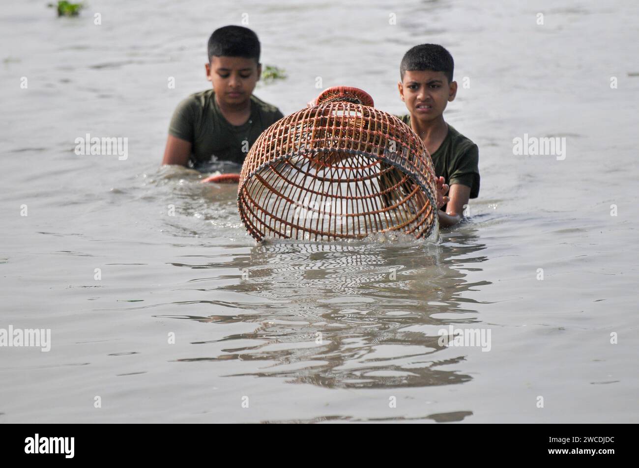 15 gennaio 2024 - Bangladesh: Bambini che pescano con la trappola di Bamboo al Beel. Mentre i contadini armati di trappole per pesci di bambù e reti da pesca fatte a mano per prendere parte a festeggiare in un festival invernale di pesca bawa a polo di 100 anni al Gowahori beel of Biswanath upazila di Sylhet, Bangladesh. La gente del posto ha detto che il festival viene celebrato ogni anno nel primo giorno del mese di Bangla di Poush e, a parte la gente del posto, persone provenienti da diverse parti dell'Upazila si radunano al beel con diversi tipi di trappole da pesca per partecipare. Il 15 gennaio 2024 Sylhet, Bangladesh (foto di Rafayat Haqu Foto Stock