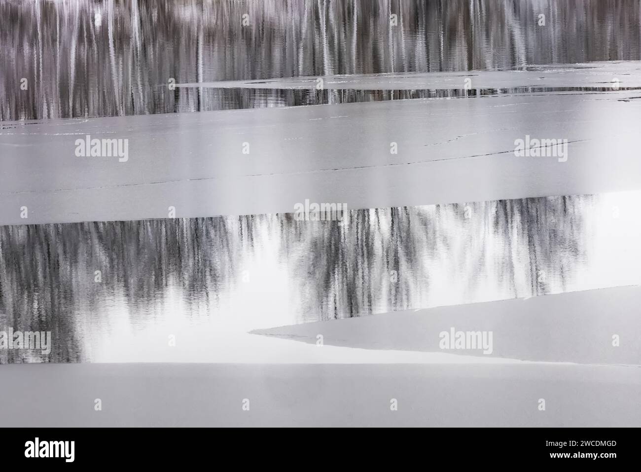 Riflessioni sull'inizio dell'inverno sul laghetto di Morley Mill a Morley, Mecosta County, Michigan, USA Foto Stock