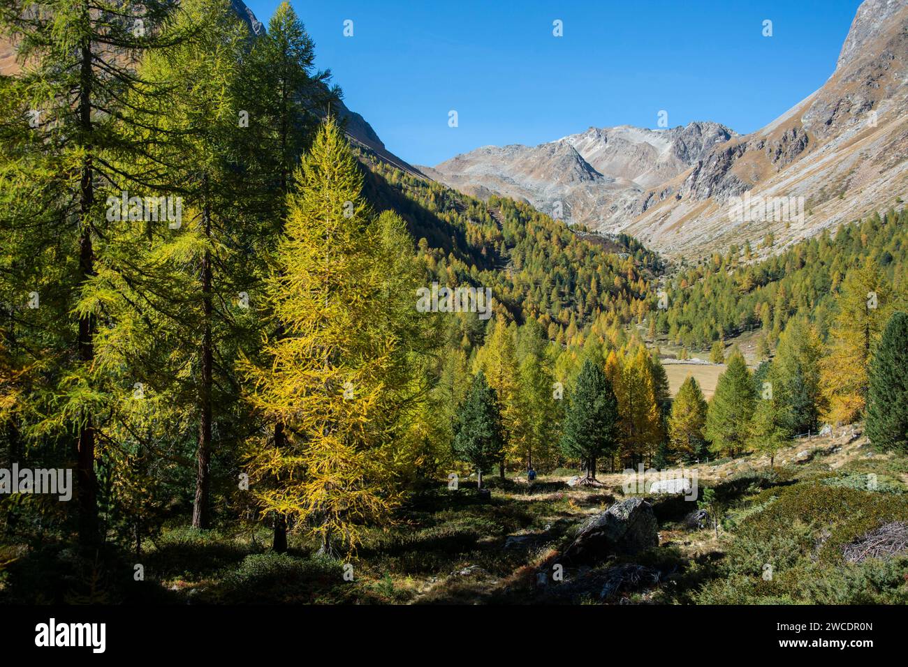 Herbstlicher Weitblick im Val da Camp mit seinen faszinierenden Bergseen Foto Stock