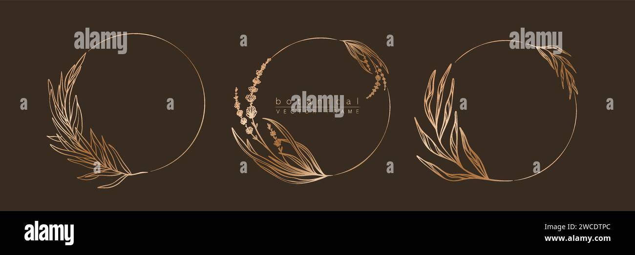 Set di cornici con cerchio dorato botanico. Bordo arrotondato disegnato a mano, foglie e fiori per inviti e biglietti di matrimonio, logo, social media e po Illustrazione Vettoriale