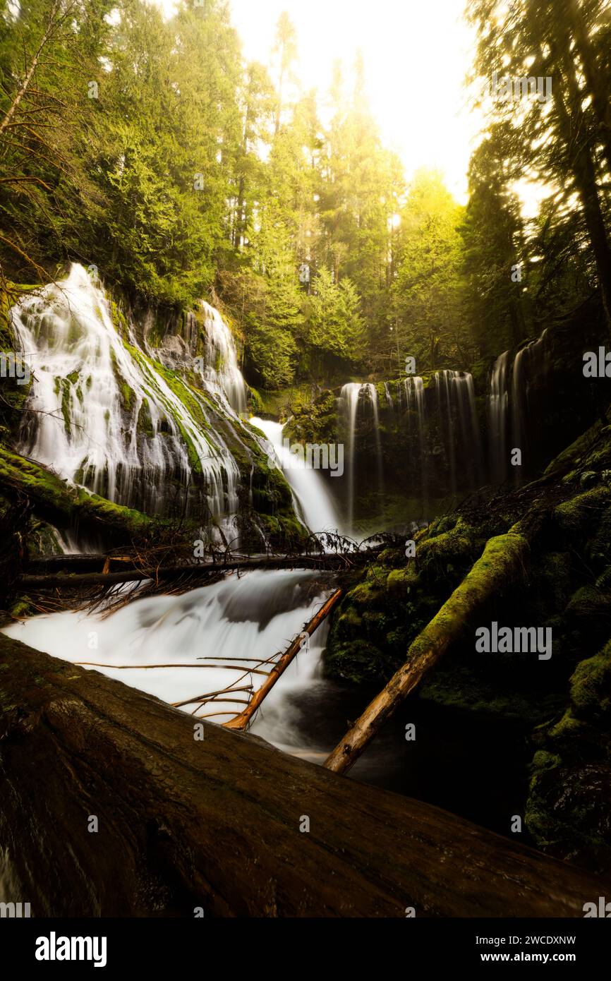 Un'immagine fotografica di paesaggi artistici delle cascate Panther Creek a Washington durante i picchi d'acqua all'inizio della primavera. Foto Stock