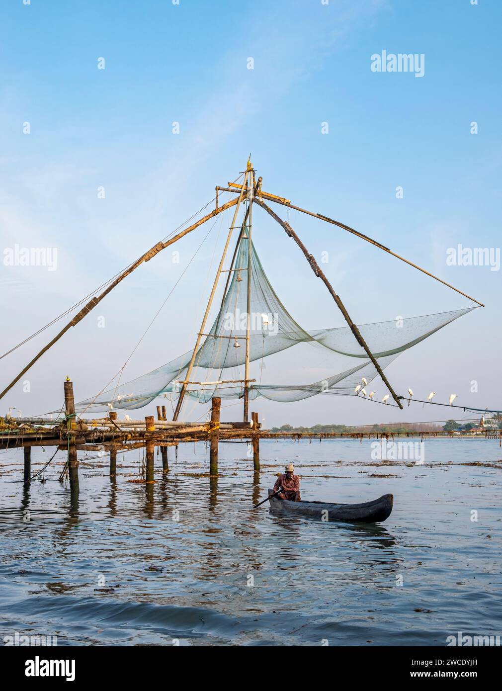 Cinese di reti da pesca, Fort Kochi, Cochin, Kerala, India Foto Stock