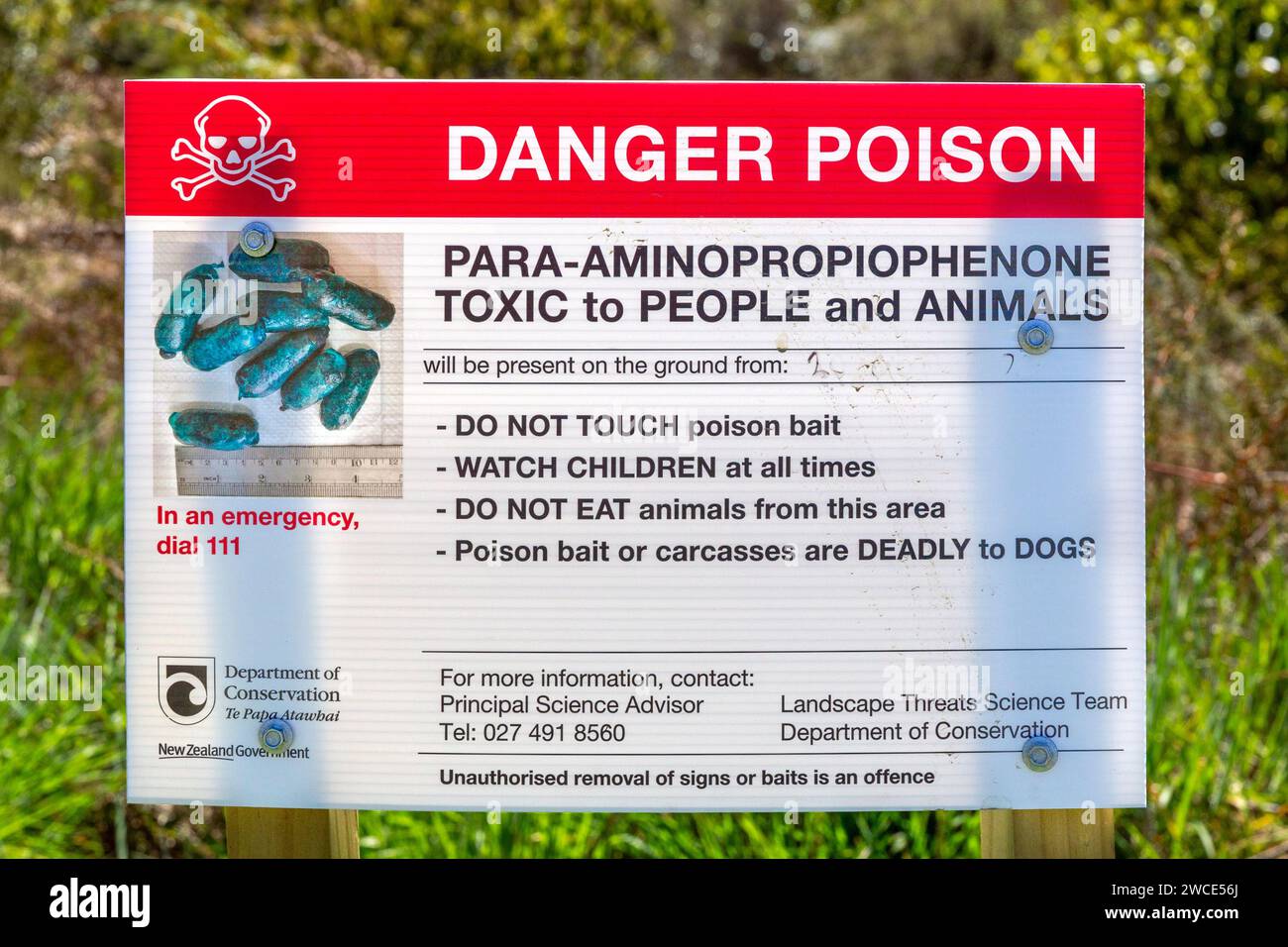 Cartello di pericolo per il veleno presso la Borland Nature Walk collocato dal te Papa Atawhai (Dipartimento di conservazione), Aotearoa (nuova Zelanda), te Waipounam Foto Stock
