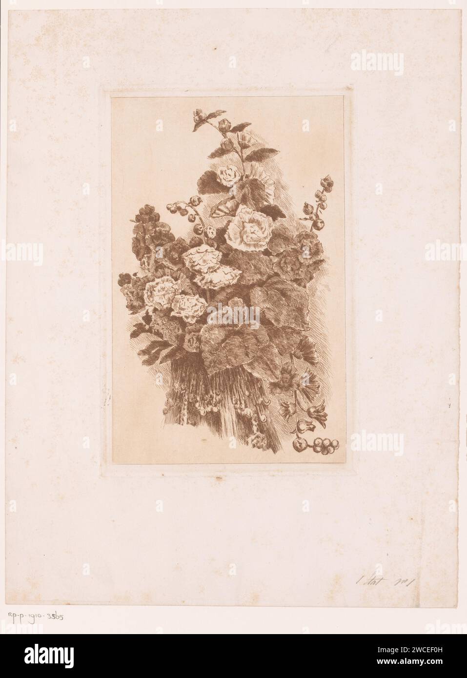 Bloemstilleven, Jules Guiette, carta stampata 1883 incisione natura morta di piante, fiori e frutta Foto Stock