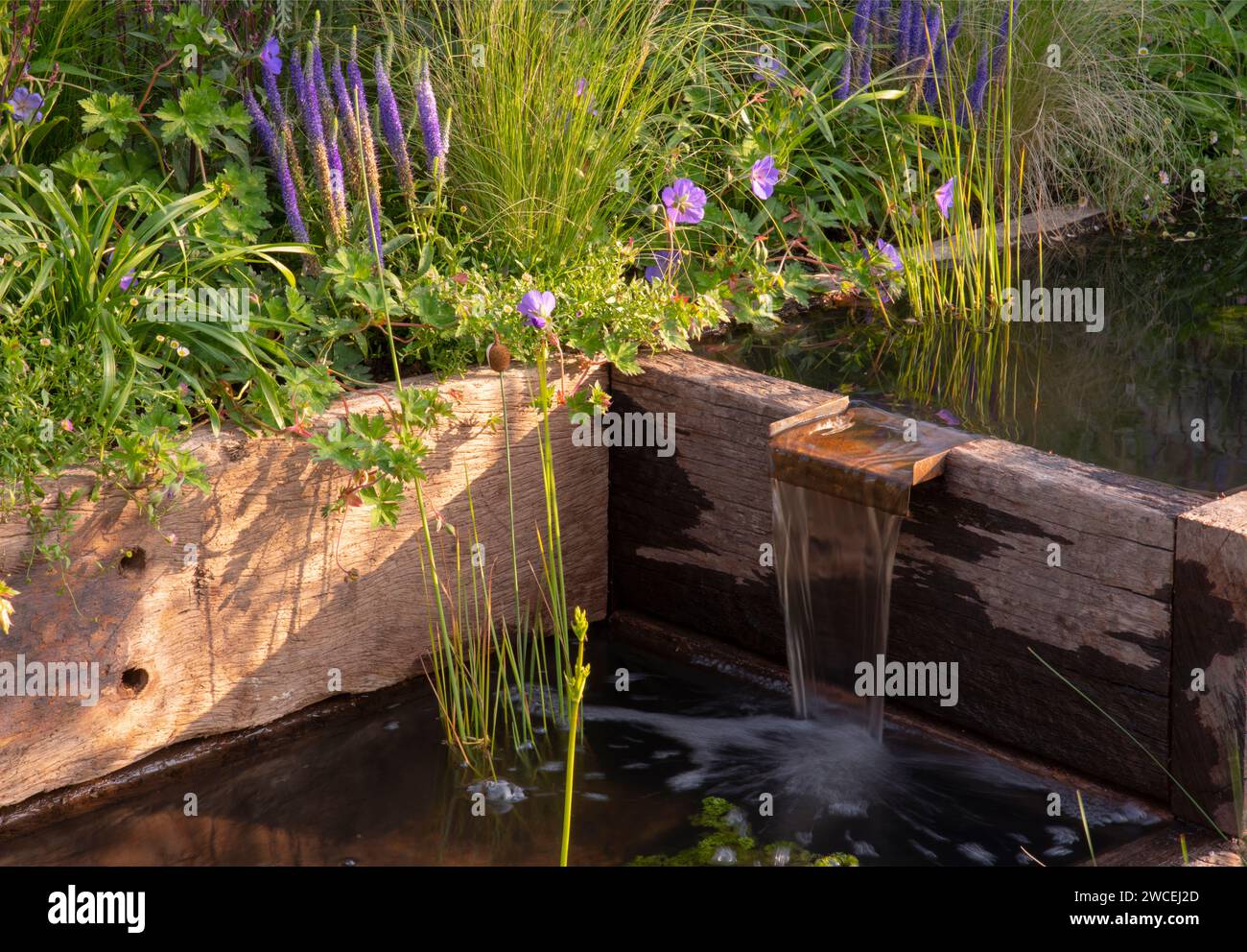 Molinia 'Karl Foster, Geranium e Veronicastrum virginicum intorno a una cascata fatta di impalcature riciclate nel Nurturing Nature nel Giardino cittadino Foto Stock