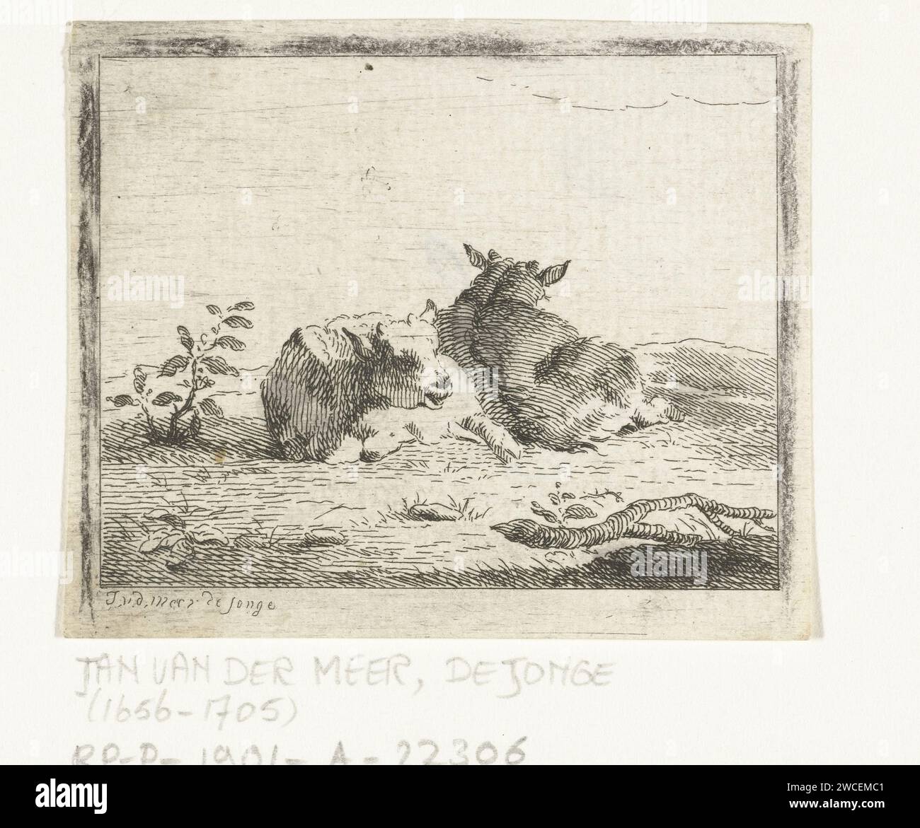 Due pecore bugiarde, Jan van der Meer (II), c. 1671 - 1705 stampa Haarlem paper etching sheep Foto Stock