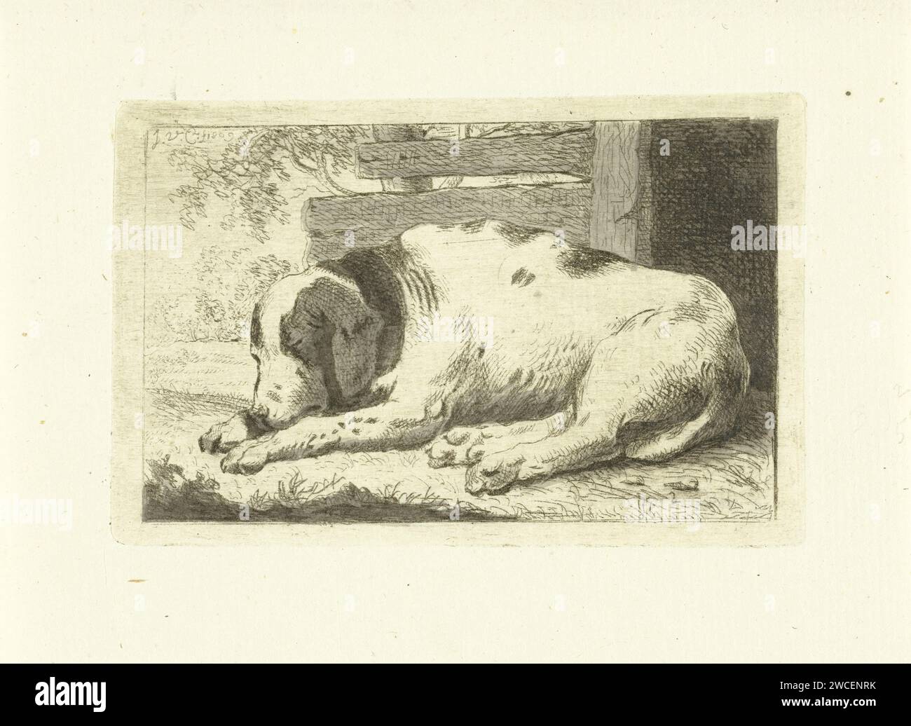 Sleeping Dog, Johannes van Cuylenburgh, 1809 stampa Olanda carta incisione / cane spazzolino Foto Stock