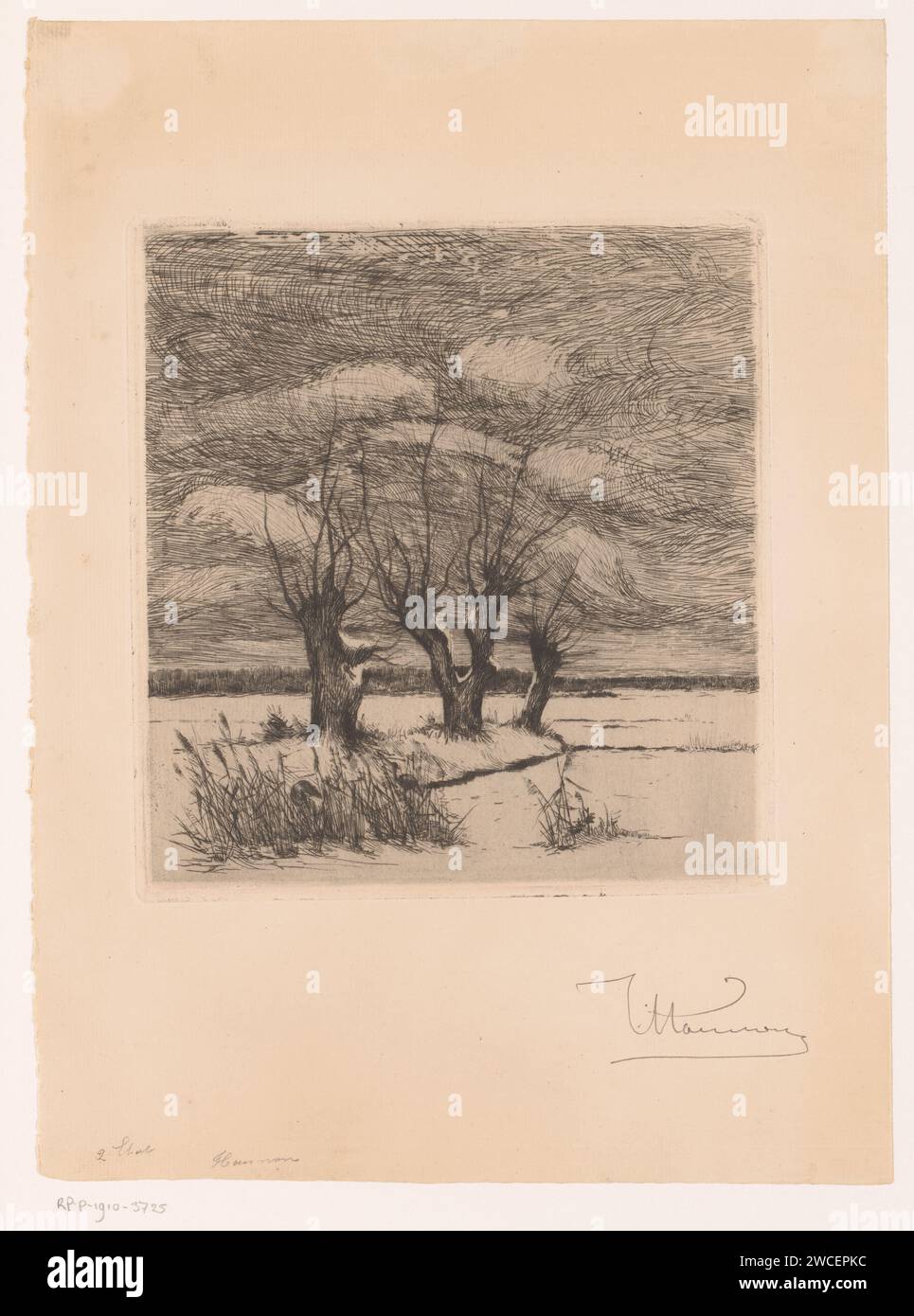 Paesaggio con salici di pollard e due uccelli nella Riet, Theodoor Hannon, 1861 - 1910 stampa di carta che incide paesaggi. uccelli. alberi: willow Foto Stock