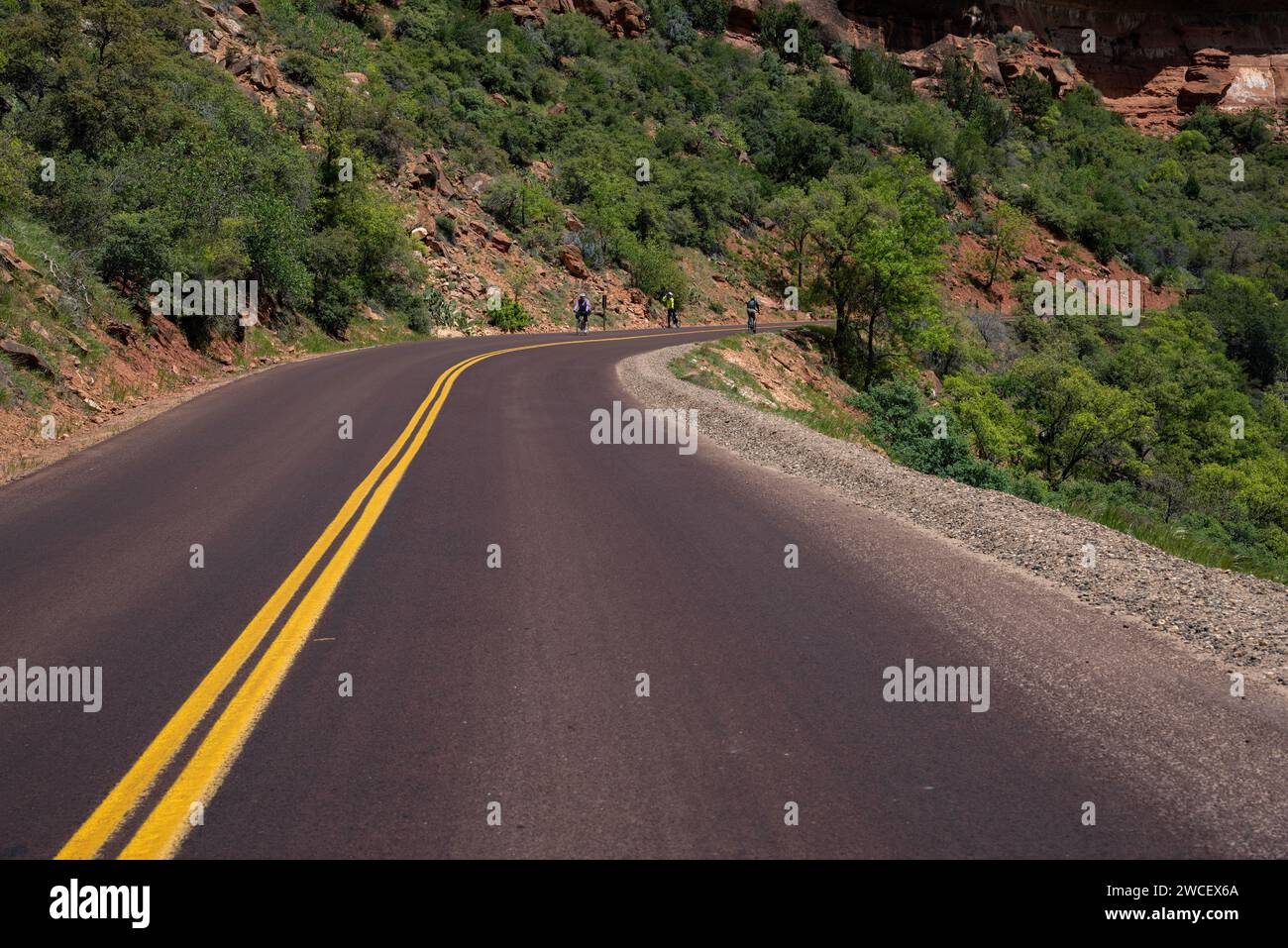 Paesaggio montano, con strada, Zion National Park; Utah; Stati Uniti Foto Stock