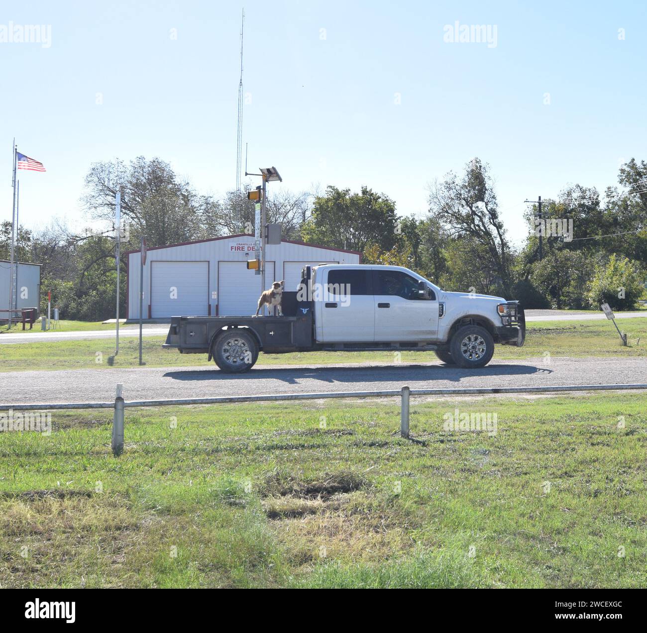 Cane in piedi su un camion bianco da lavoro in una giornata di sole e limpida a Cranfills Gap Texas - novembre 2023 Foto Stock