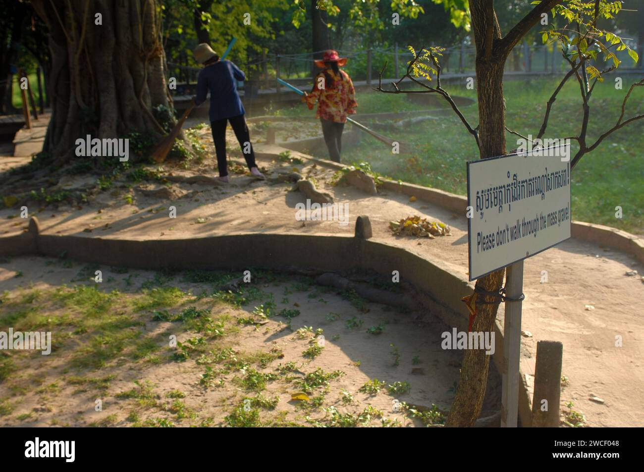 Le signore spazzano le foglie intorno a un albero di uccisione nei campi di sterminio del Choung EK genocidal Center, Phnom Penh, Cambogia. Foto Stock