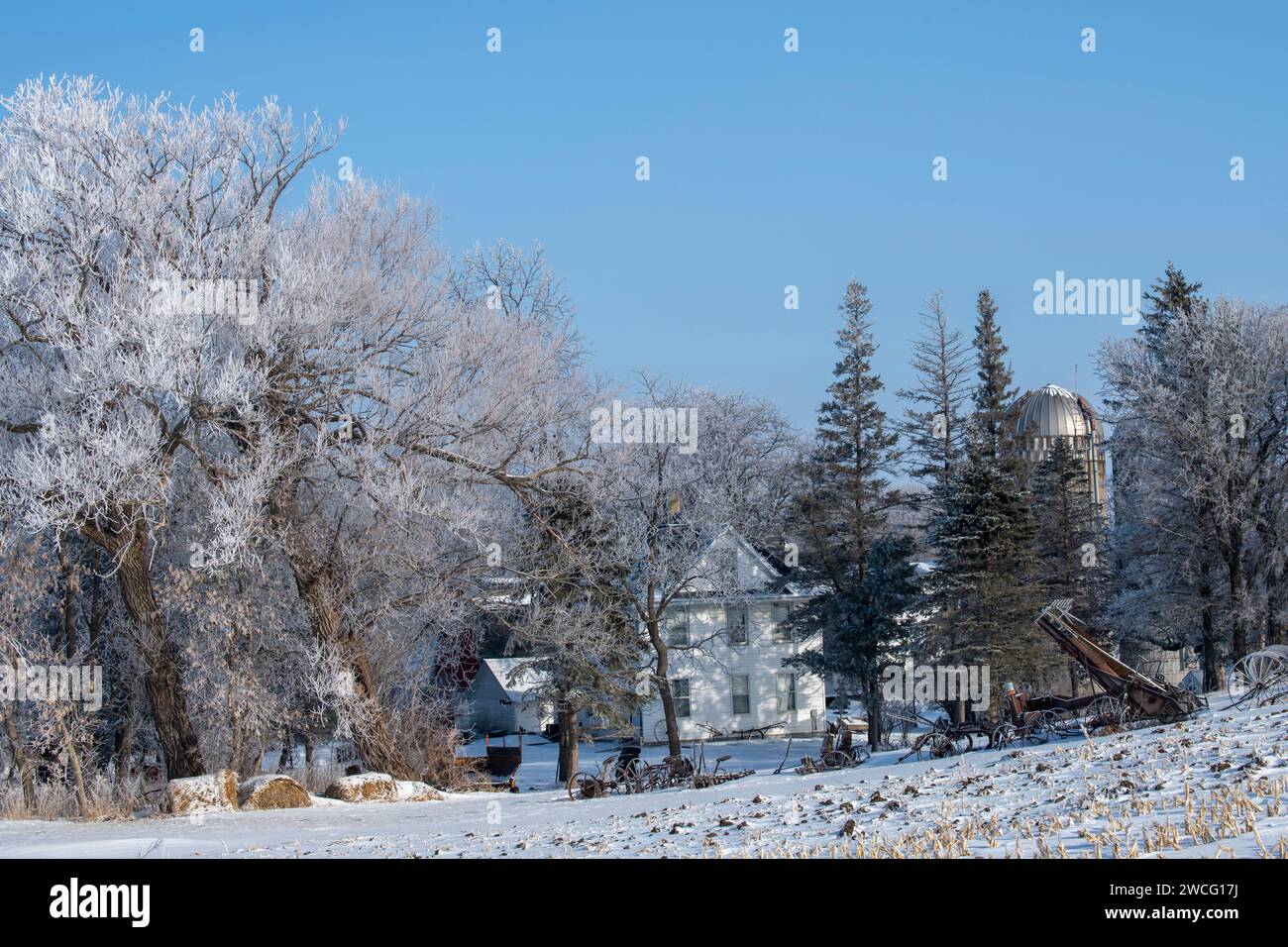 Albert Lea, Minnesota. Agriturismo in una splendida nevicata invernale. Foto Stock
