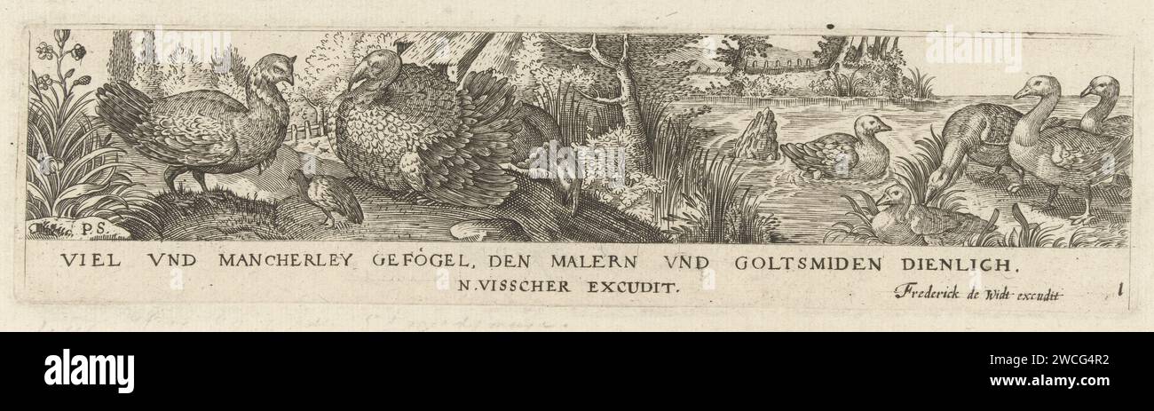 Frontespizio, frisone con nove uccelli, Pieter Serwouters, dopo Hans Collaert (i), dopo Marcus Geeraerts, c. 1607 stampa a destra cinque anatre dentro e vicino all'acqua. A sinistra ci sono due tacchini e un piccolo uccello. Numero 1 della serie di 12 fogli numerati. Paesi Bassi (forse) incisione di carta uccelli Foto Stock