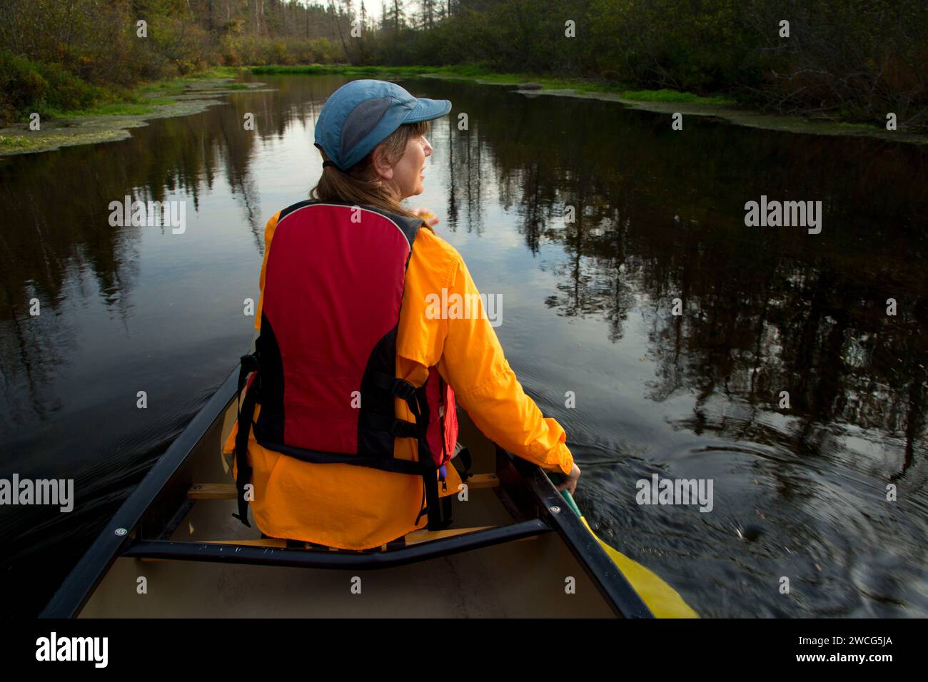 Canoa il fiume Brule, Brule River State Forest, Wisconsin Foto Stock