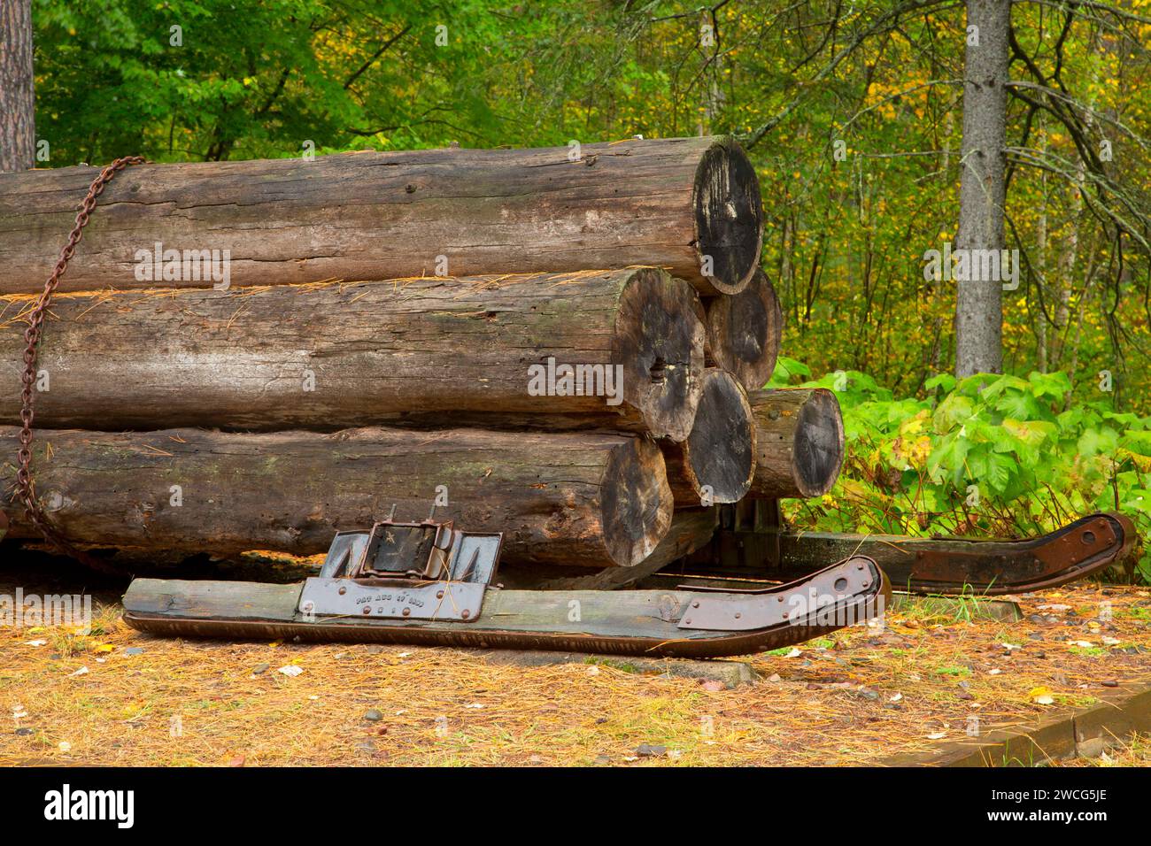 Slitta di registro, Brule River State Forest, Wisconsin Foto Stock