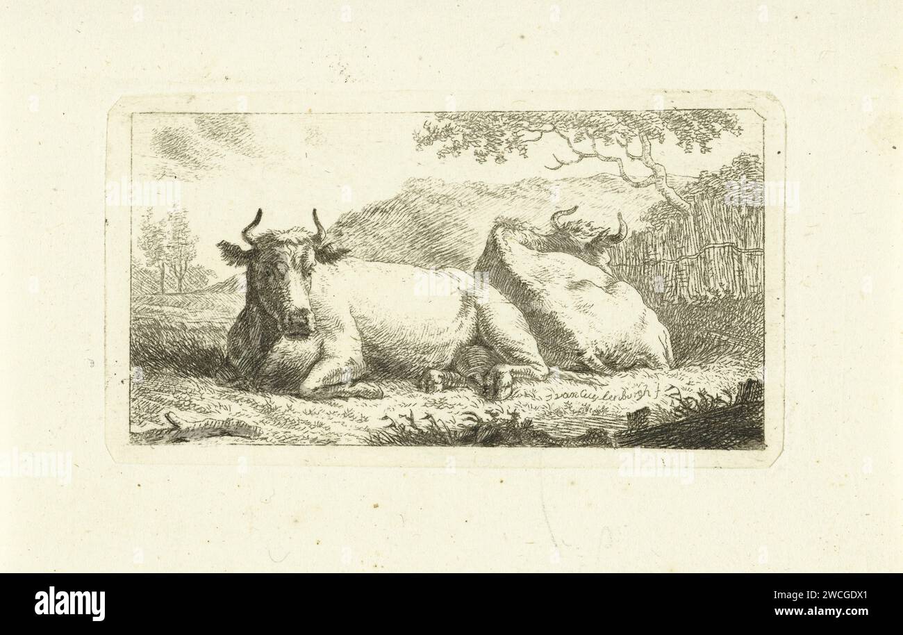Due mucche che giacciono, Johannes van Cuylenburgh, 1803 - 1841 stampa della mucca da incisione di carta olandese Foto Stock
