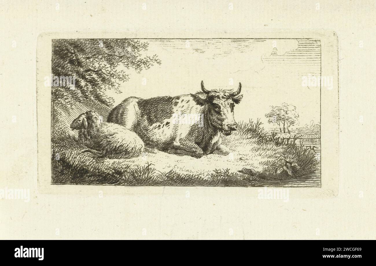 Mucca e pecora giardinanti, Johannes van Cuylenburgh, 1803 - 1841 stampa Olanda carta vacca da incisione. pecore Foto Stock