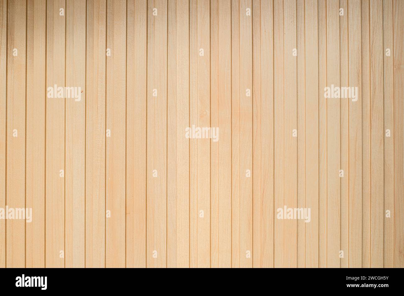 Strisce dritte struttura pannello parete in legno. Colore beige. Adatto per lo sfondo. Foto Stock