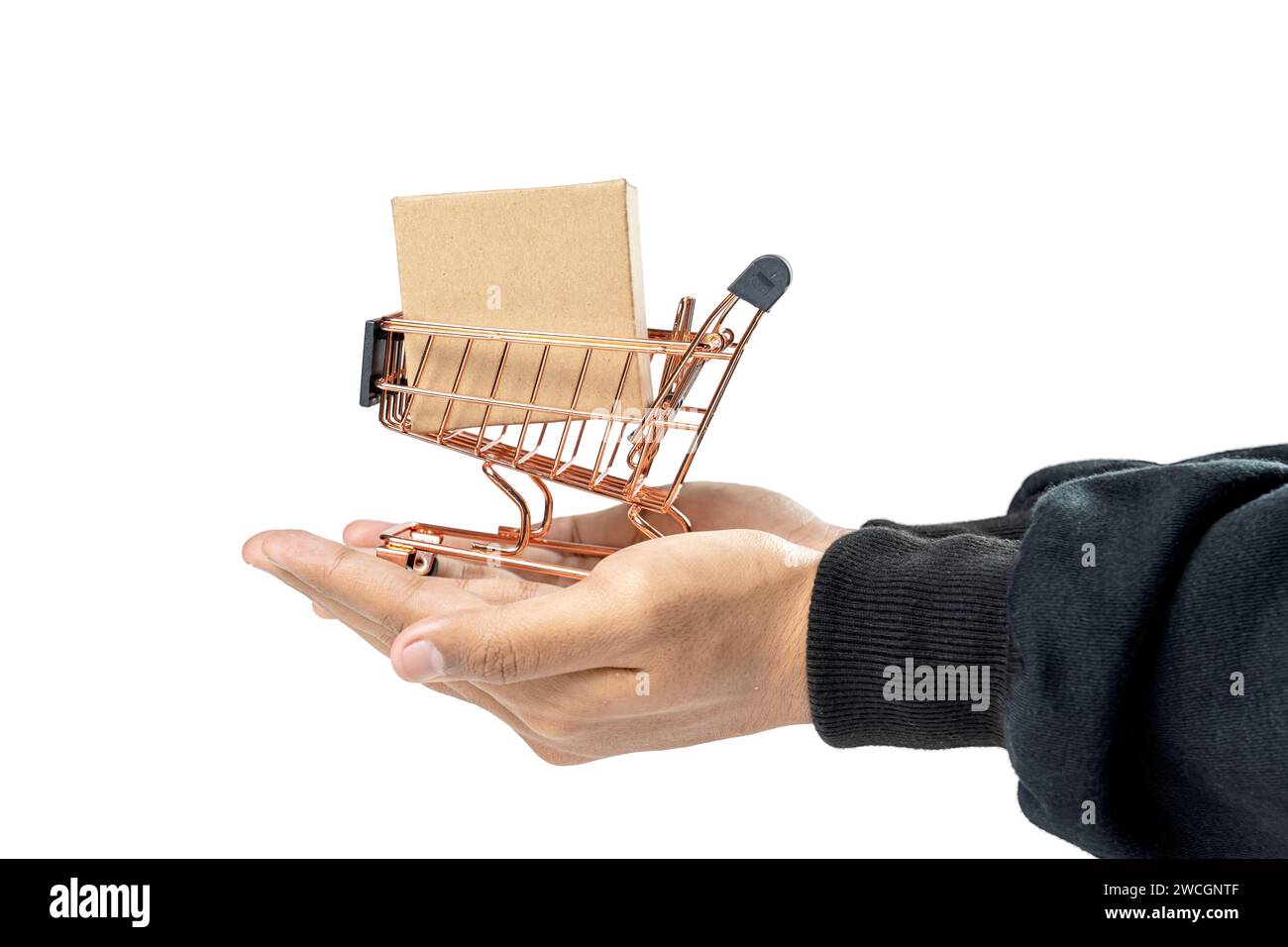 Una mano umana che mostra una scatola di cartone in un carrello isolato su uno sfondo bianco Foto Stock
