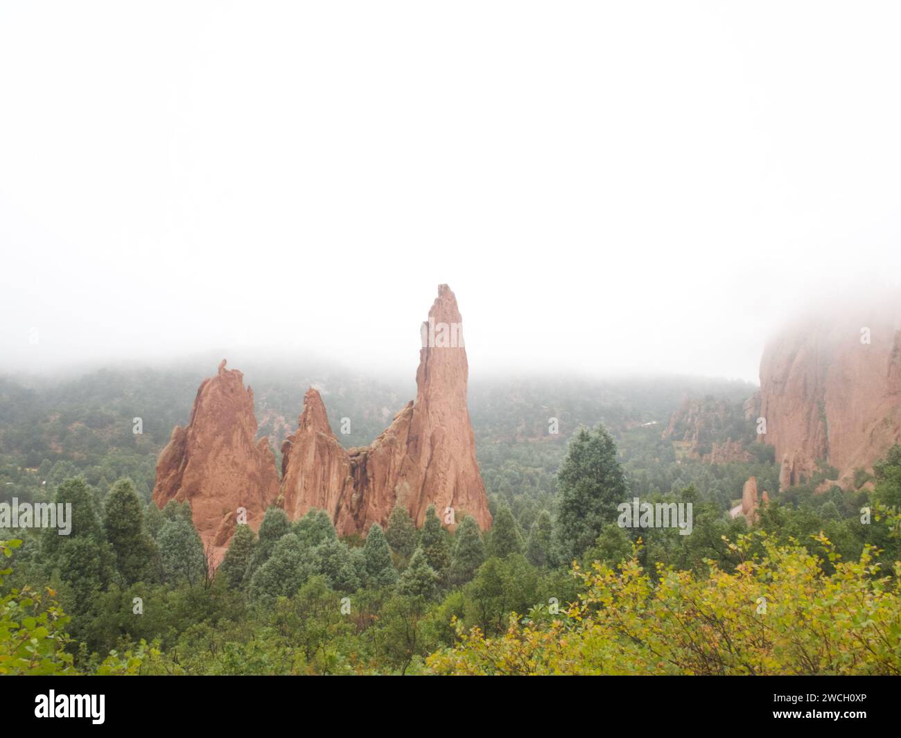 Una vista accattivante della bellezza eterea del Giardino degli dei avvolto da una nebbia soffice Foto Stock