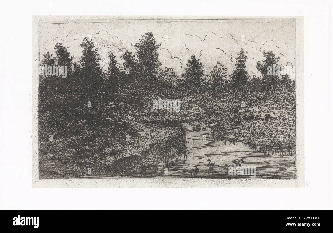 Poel with Ducks, Arnoud Schaepkens, carta stampata 1831 - 1888. paesaggi mozzafiato con acque, paesaggi acquatici, paesaggi marini (nella zona temperata). uccelli acquatici: anatra Foto Stock