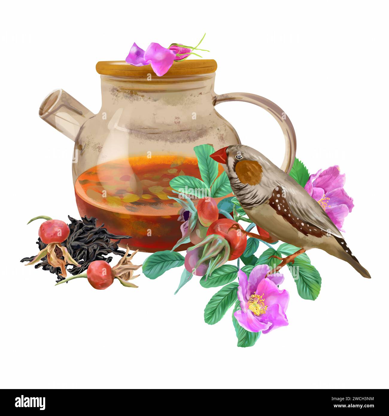 Teiera, fianchi di rosa, foglie di tè asciutte, uccello, petali. Illustrazione grafica isolata su sfondo bianco. Elemento di design per schede, imballaggi, etichette, coperchio Foto Stock