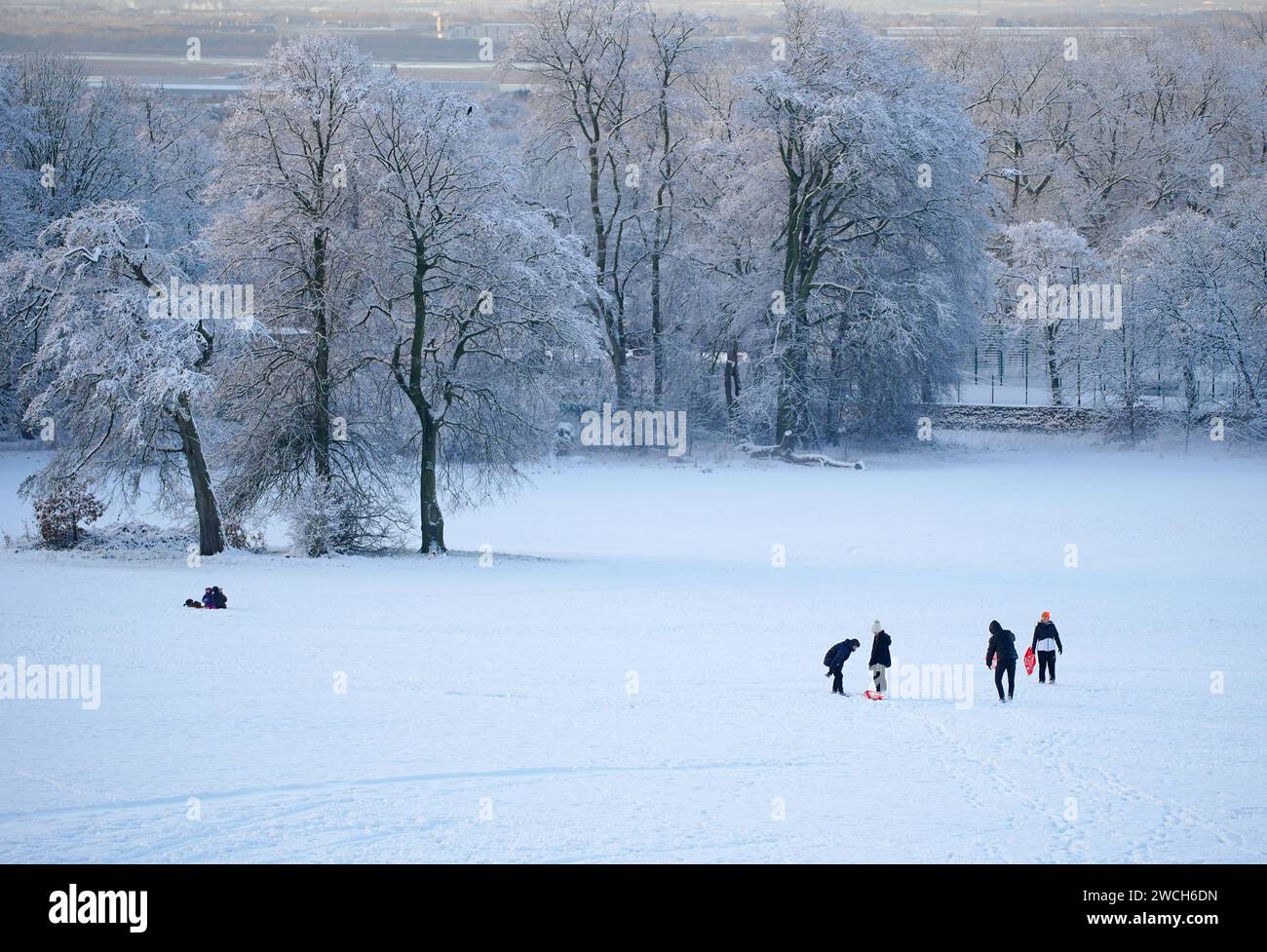 Le persone approfittano del tempo innevato con le slitte a Camp Hill a Woolton, Liverpool. Gran parte della Gran Bretagna sta affrontando un'altra giornata di basse temperature e di interruzioni dei viaggi dopo che i bassi della notte sono scesi sotto il congelamento per la maggior parte del paese. Un "tuffo freddo dell'aria artica” si è spostato a sud in tutto il paese negli ultimi giorni, rendendolo 5C-6C più basso del solito per questo periodo dell'anno, ha detto l'Ufficio MET. Data immagine: Martedì 16 gennaio 2024. Foto Stock