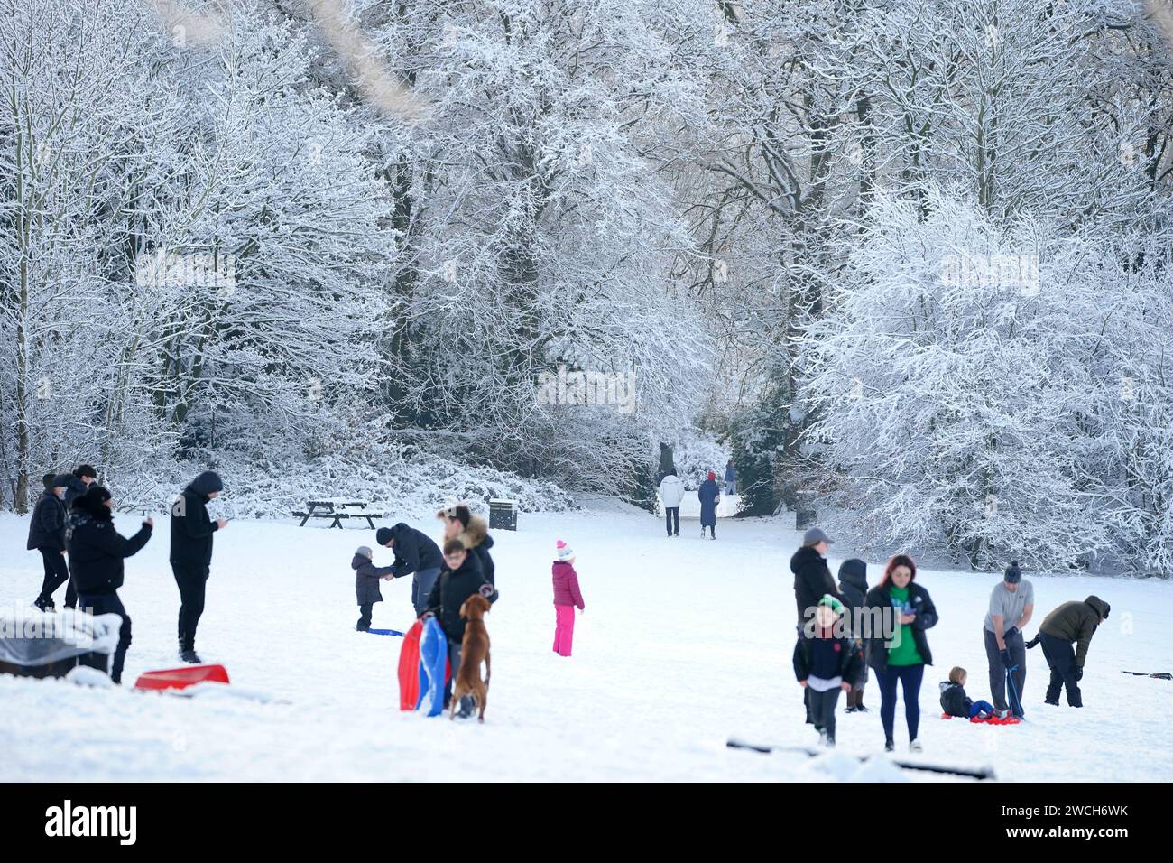 Le persone approfittano del tempo innevato con le slitte a Camp Hill a Woolton, Liverpool. Gran parte della Gran Bretagna sta affrontando un'altra giornata di basse temperature e di interruzioni dei viaggi dopo che i bassi della notte sono scesi sotto il congelamento per la maggior parte del paese. Un "tuffo freddo dell'aria artica” si è spostato a sud in tutto il paese negli ultimi giorni, rendendolo 5C-6C più basso del solito per questo periodo dell'anno, ha detto l'Ufficio MET. Data immagine: Martedì 16 gennaio 2024. Foto Stock