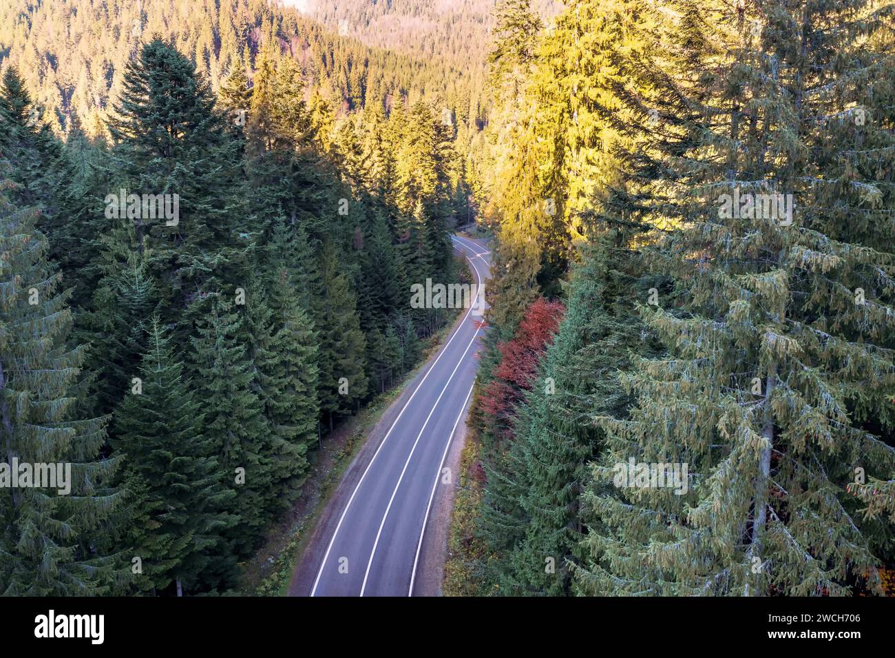 Tortuosa strada asfaltata tra le montagne tra la verde foresta dalla vista aerea. Foto Stock