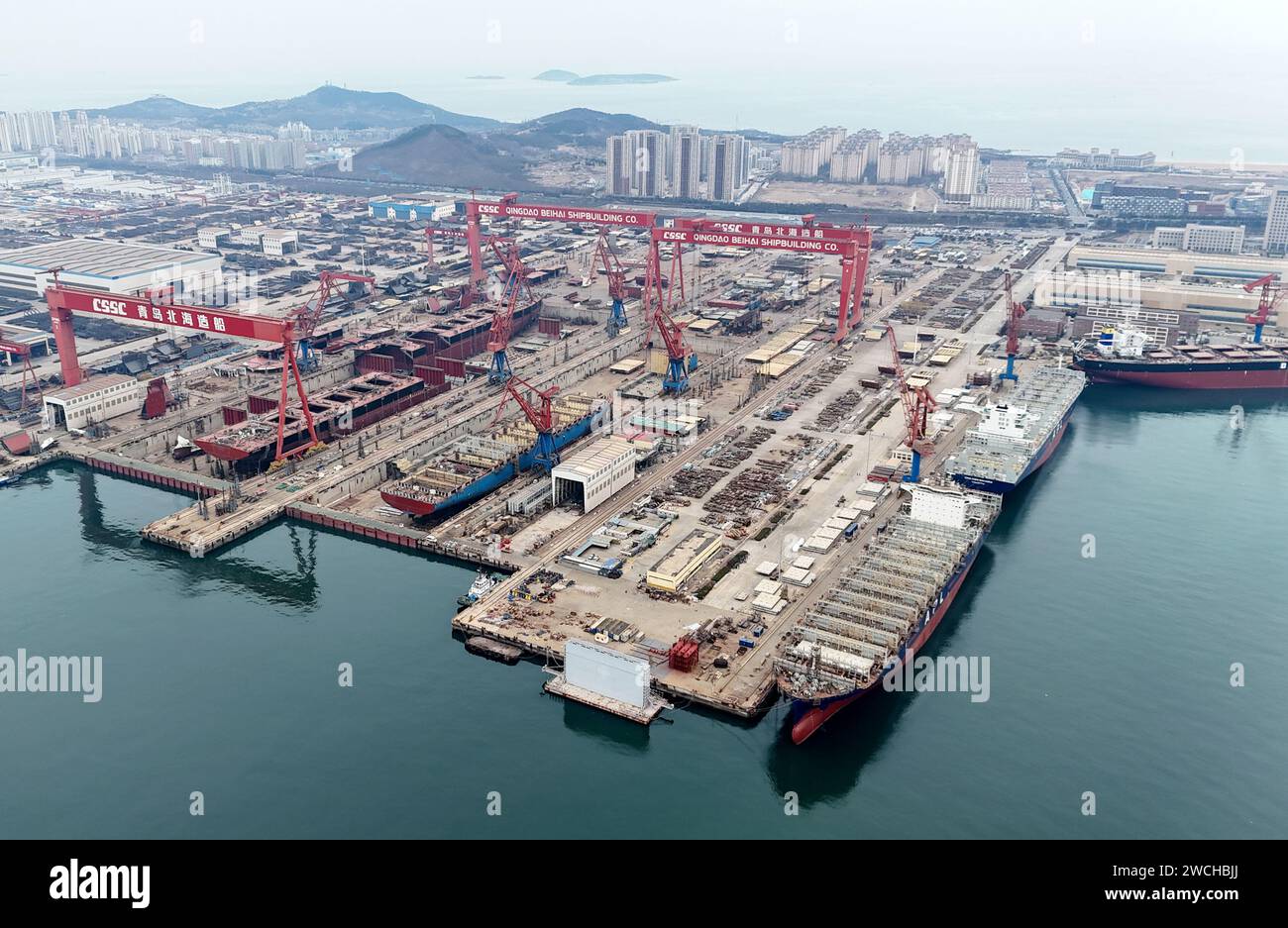 QINGDAO, CINA - 16 GENNAIO 2024 - diverse grandi navi sono in costruzione simultaneamente presso la base navale dell'industria navale di Haixi Bay, in Occidente Foto Stock