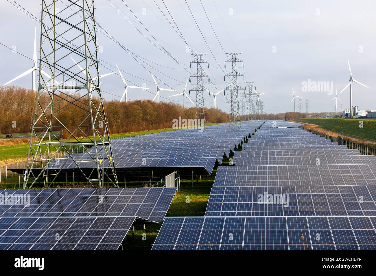 Grande parco solare e turbine eoliche nel porto di Vlissingen, Walcheren, Zelanda, Paesi Bassi. grosser Solarpark und Windraeder am Hafen von Vlissing Foto Stock