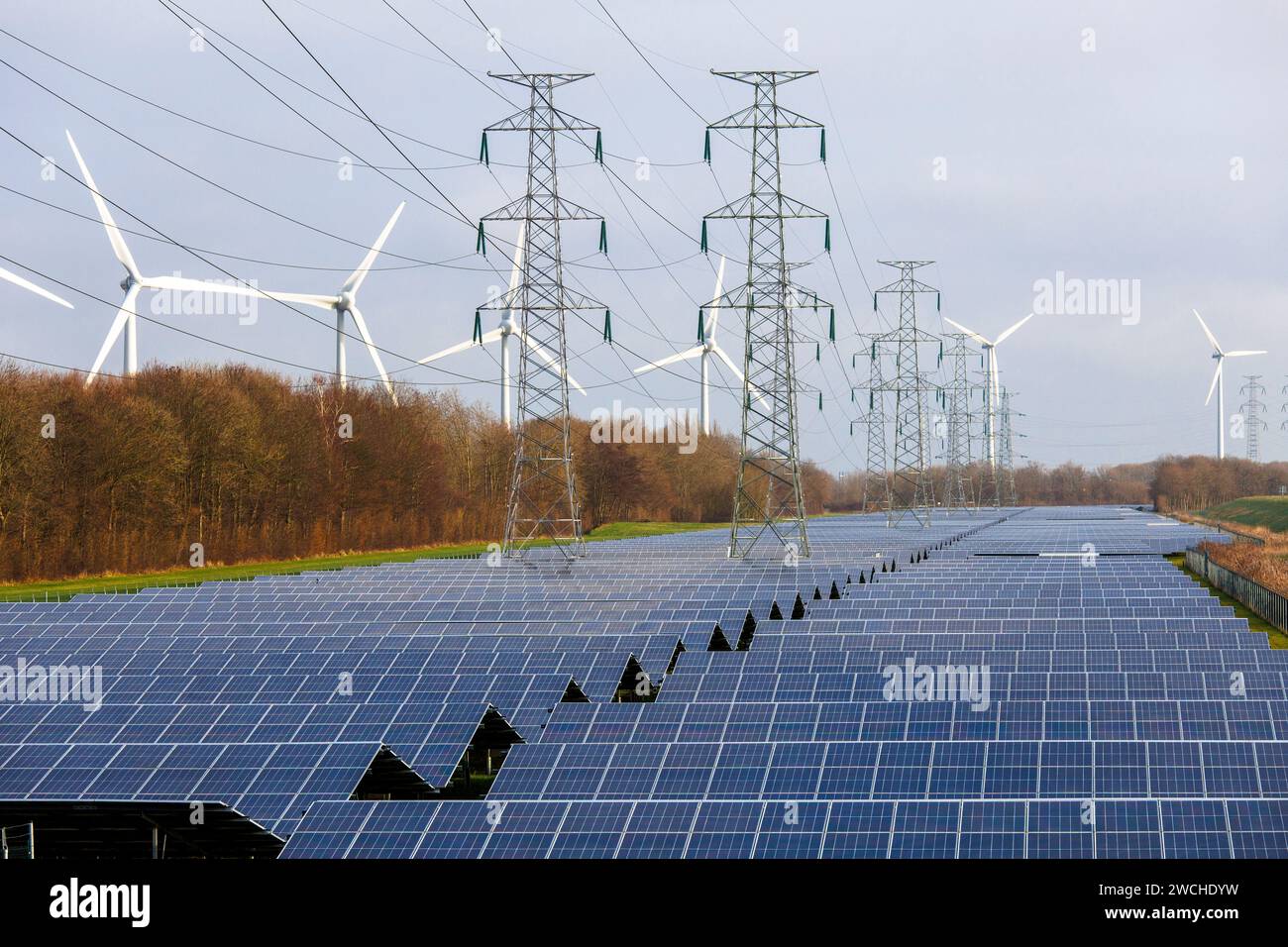 Grande parco solare e turbine eoliche nel porto di Vlissingen, Walcheren, Zelanda, Paesi Bassi. grosser Solarpark und Windraeder am Hafen von Vlissing Foto Stock