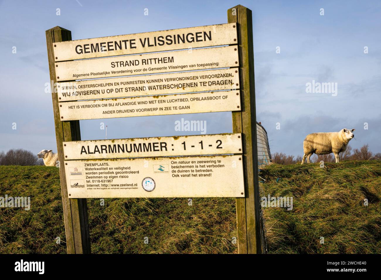 Insegna e pecore sulla diga nel porto di Vlissingen, Walcheren, Zelanda, Paesi Bassi. Schild und Schafe auf dem Deich am Hafen von Vlissingen, Wal Foto Stock