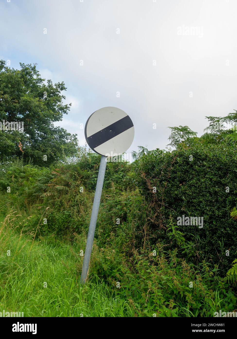 Limite di velocità nazionale inclinato verso la siepe. Foto Stock