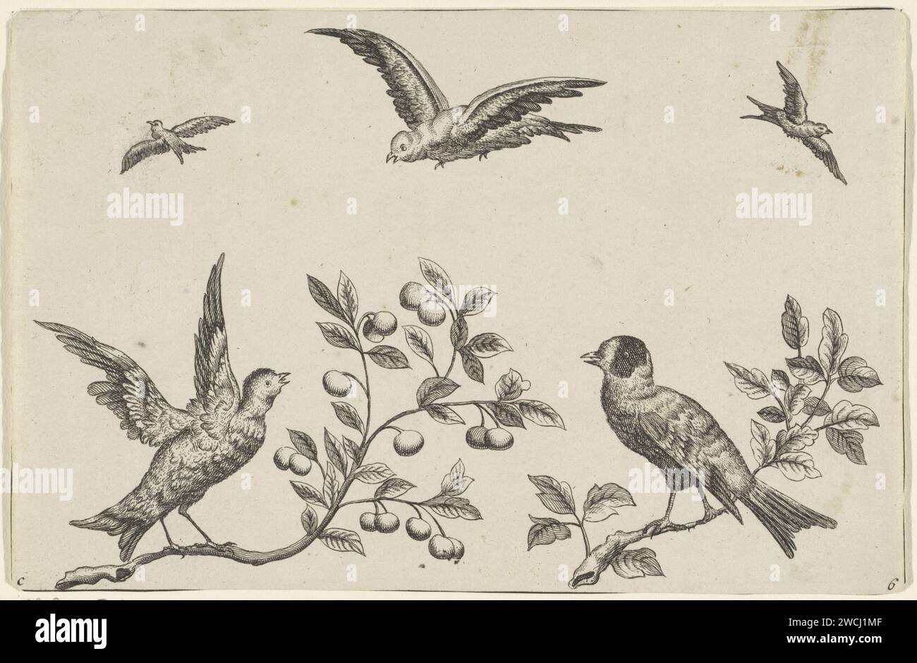 Due uccelli su un ramo e tre uccelli in aria, Pieter Schenk (i) (possibile), dopo Pieter Schenk (i), 1675 - 1711 stampa Amsterdam paper etching / incisione uccelli Foto Stock