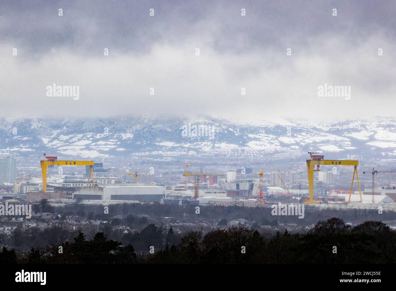 Basse nuvole sulla Black Mountain ricoperta di neve dietro le gru Harland & Wolff sul lato est del Belfast Lough. Gran parte del Regno Unito e dell'Irlanda si trova ad affrontare un altro giorno di basse temperature e di disagio dei viaggi dopo che i minimi della notte sono scesi sotto il congelamento per la maggior parte del paese. Un "tuffo freddo dell'aria artica” si è spostato a sud in tutto il paese negli ultimi giorni, rendendolo 5C-6C più basso del solito per questo periodo dell'anno, ha detto l'Ufficio MET. Data immagine: Martedì 16 gennaio 2024. Foto Stock