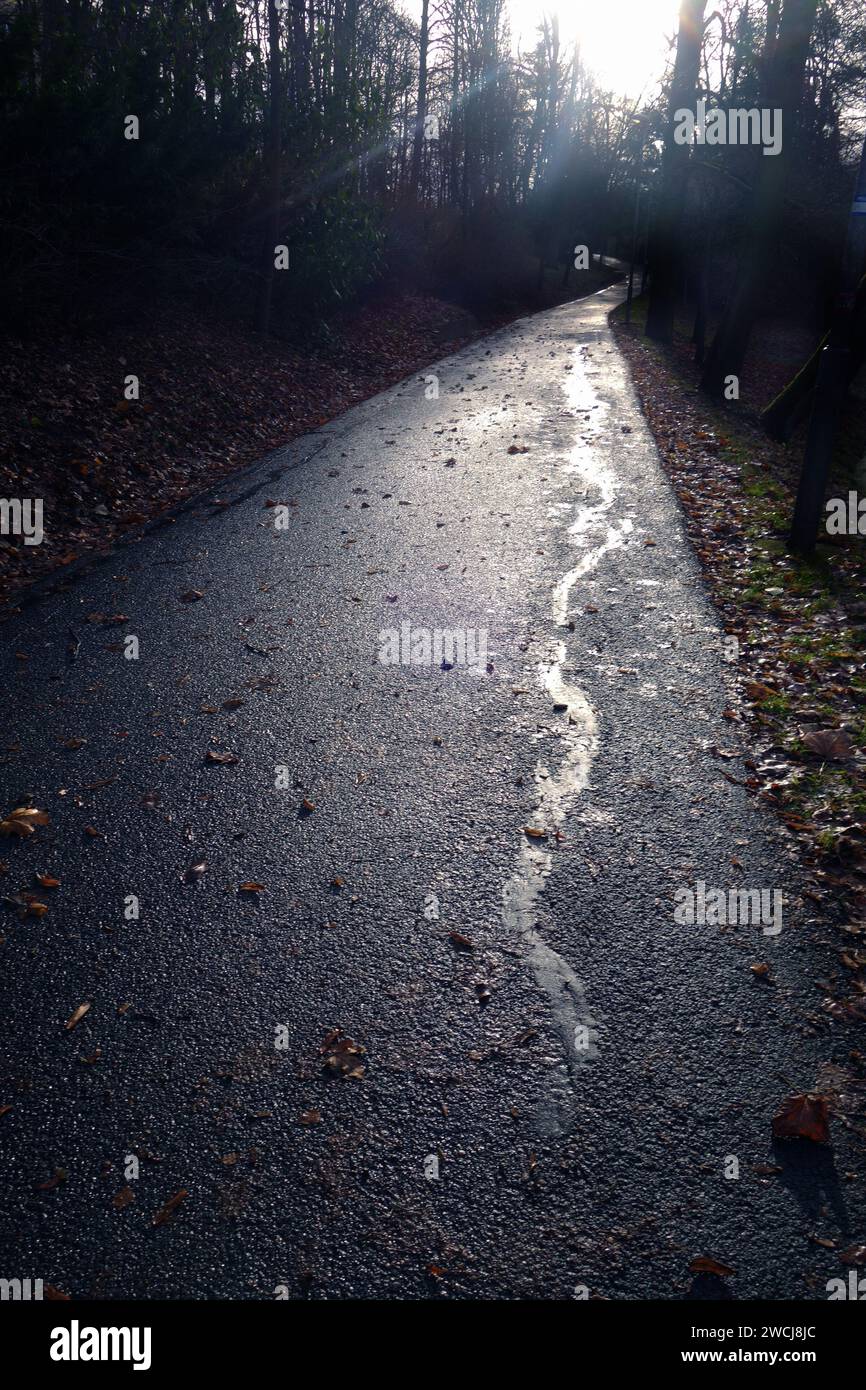 strada vuota, retroilluminata, stagione invernale Foto Stock